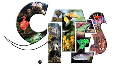 Curso Interactivo CITES