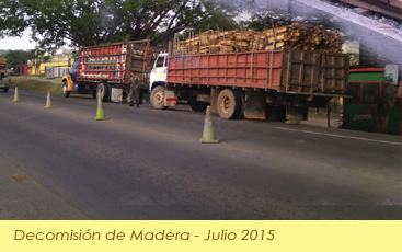 decomision de madera
