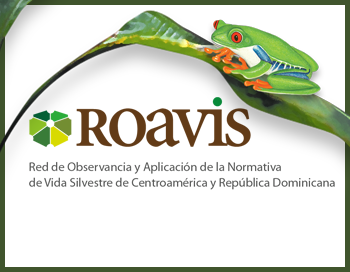 sobre roavis