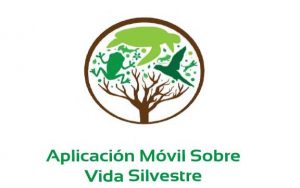 Manual de usuario5
